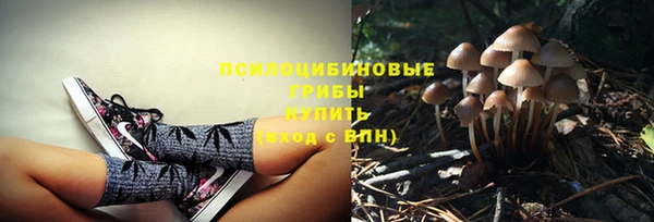 Альфа ПВП Белоозёрский