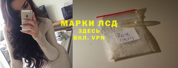 крисы Алагир