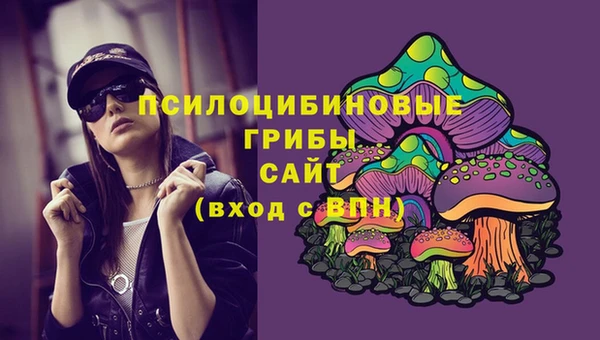 альфа пвп Беломорск