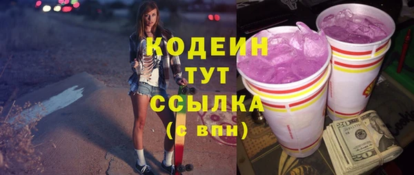 крисы Алагир